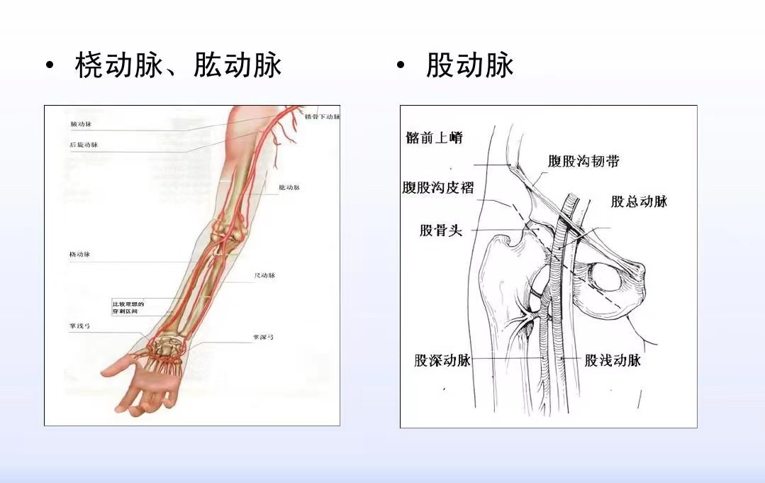 1716110658520.jpg 1716110658520.jpg