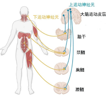 ddc8b92851b76363f363baf0899291b3.png