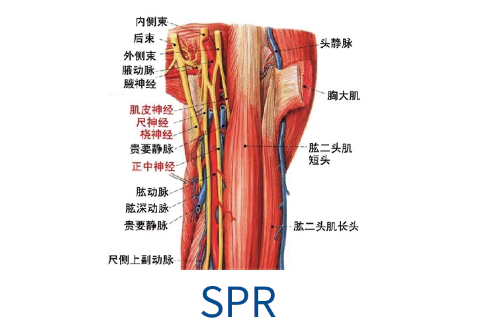 fb8f5dd76e321ab53e1a4bb288b9ca81.png fb8f5dd76e321ab53e1a4bb288b9ca81.png